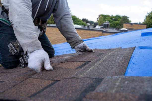 Roof Gutter Cleaning